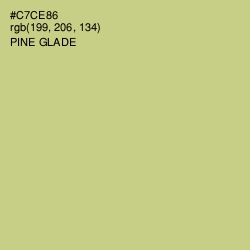 #C7CE86 - Pine Glade Color Image